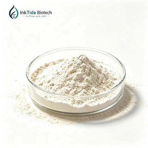 Ginkgo Biloba Extract Fine Powder 24/6