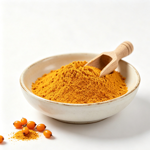 Natural Spray Dried Instant Sea Buckthorn Powder Hippophae Rhamnoides