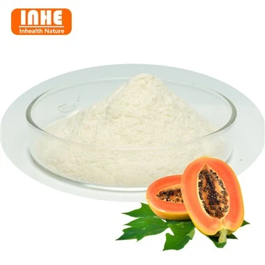 Papain Enzyme Powder Bulk Supply