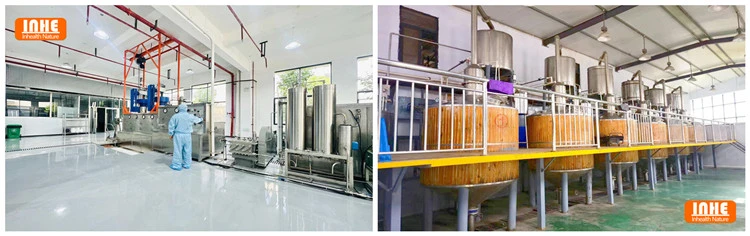 Advanced Production Lines and Stainless Steel Extraction Tanks