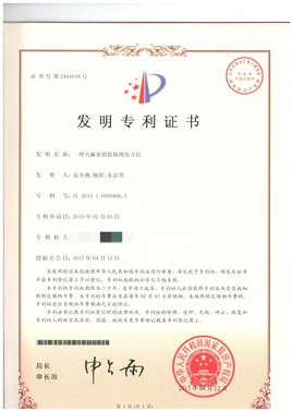 Invention Patent Certificate