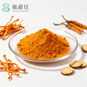 High Purity Cordyceps Extract Powder 100% Fruiting Body Dual Extract for Dietary Supplements