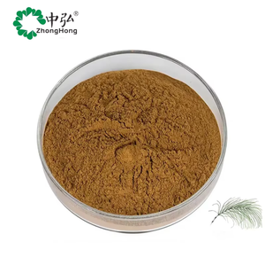 Factory Source Wild Horsetail Herb Extract Powder Food Grade Quercetin