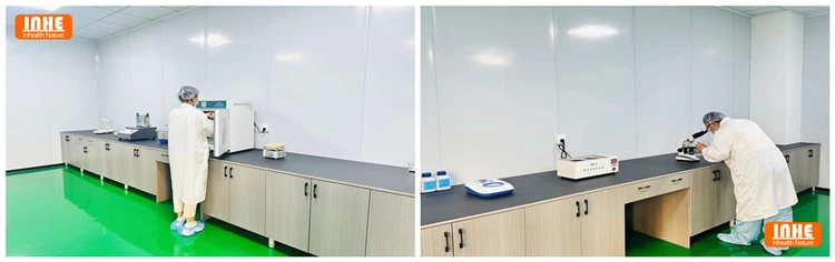 Analytical Quality Control Testing Devices HPLC and GC