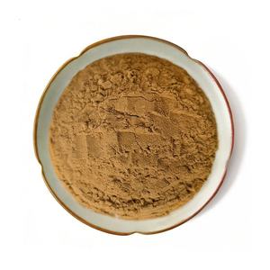 Bulk Cordyceps Militaris Extract 10:1 Powder Premium Cordyceps Militaris Powder For Daily Wellness Supporting Stamina & Energy