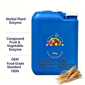 Ginseng Fermented Pure Extract - Bulk 25kg
