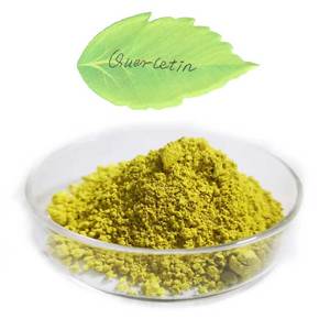 Price Powder 95 Granular Extract Dihydrate Anhydrous 98% Bulk Quercetin