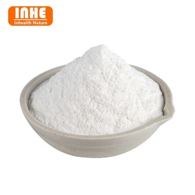 Transglutaminase TGase Powder