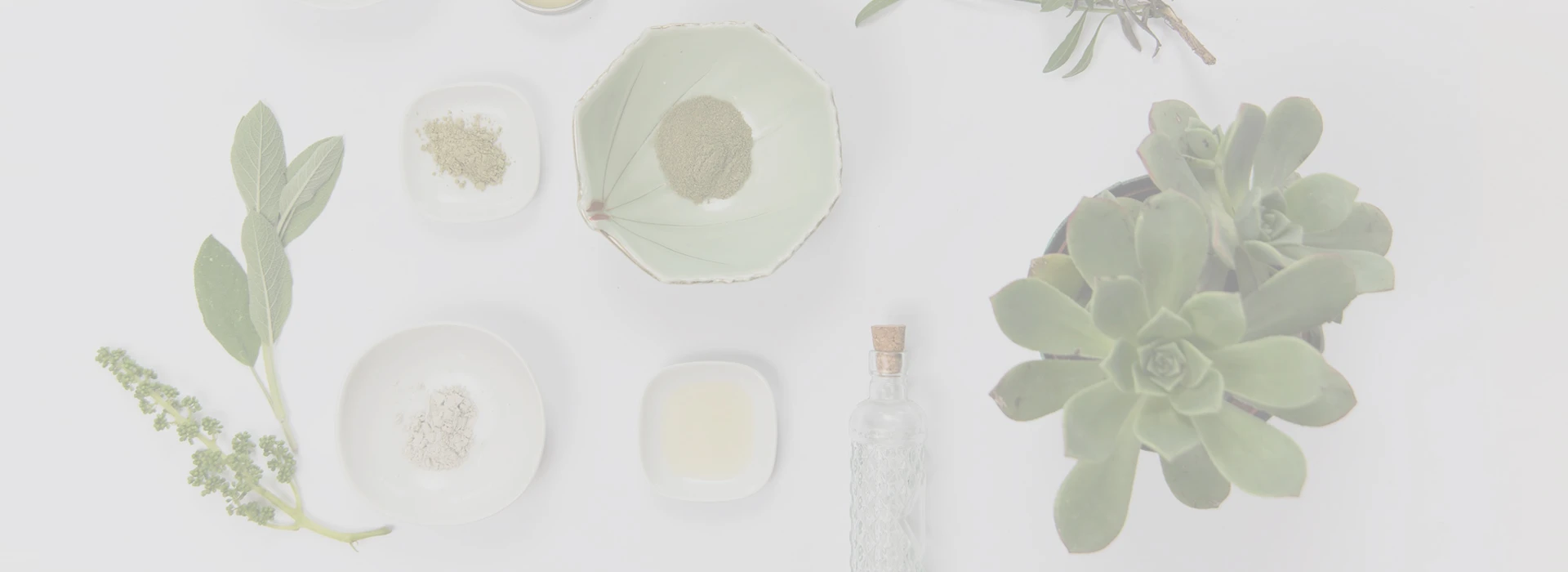 RAAG Biotech Co., Ltd. botanical extract production overview