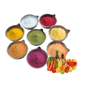 B.C.I Supply Wholesale Organic Fruit Powder Food Grade 100% Natural Dried Vegetable Fruit Powder