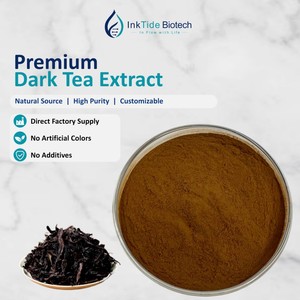 Dark Tea Post-fermented Extract 10:1 20:1 Powder