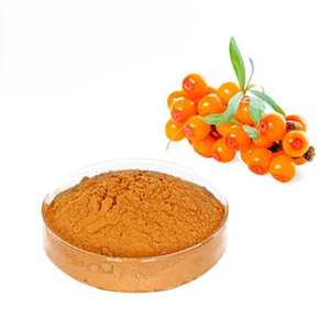 Top Selling Organic Sea Buckthorn Powder made from Fruit Rich in Vitamin C