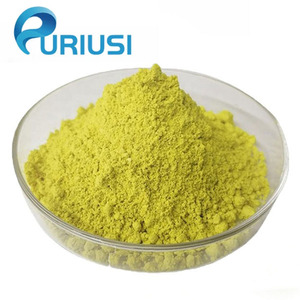 Natural Quercetin Powder 95% Purity Sophora Japonica