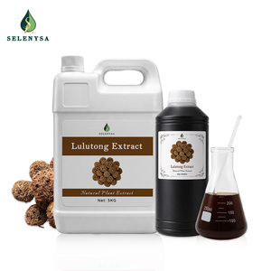 Wholesale Liquidambaris Fructus Extract Natural for Healthcare and Recovery Support