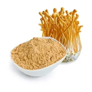 Organic Cordyceps Mushroom Powder Extract Natural Herbal Supplement for Immunity Energy Boost Adaptogenic Superfood Bulk Supply