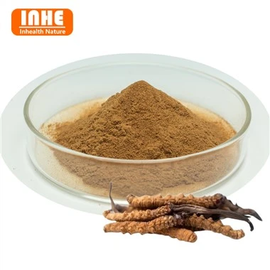Fermented Cordyceps Mycelium Powder